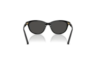 [glasses-back-view] Dolce & Gabbana DX4010 (501/87)