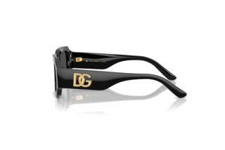 [glasses-side-view] Dolce & Gabbana DX4011 (501/87)