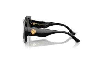 [glasses-side-view] Dolce & Gabbana DX4012 (501/87)