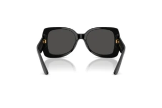 [glasses-back-view] Dolce & Gabbana DX4012 (501/87)