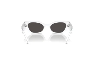 [glasses-back-view] Dolce & Gabbana DX6003 (331287)