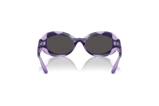 [glasses-back-view] Dolce & Gabbana DX6005 (333587)
