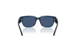 [glasses-back-view] Dolce & Gabbana DX6009 (300980)