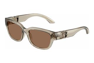 Dolce & Gabbana DX6009 329173