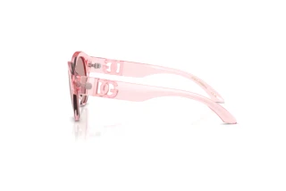 [glasses-side-view] Dolce & Gabbana DX6010 (3098VS)