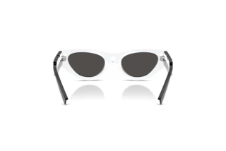 Vedere din spate Dolce & Gabbana DX6012 (345787)