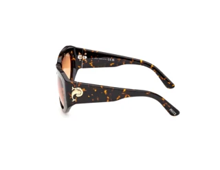 [glasses-side-view] Emilio Pucci EP0241 (52F)