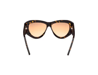 [glasses-back-view] Emilio Pucci EP0241 (52F)