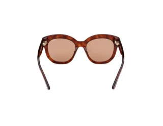 [glasses-back-view] Emilio Pucci EP0254 (53E)
