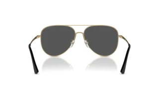 Vy bakifrån Emporio Armani EA2149D (337187)