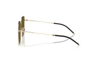 Vista lateral Emporio Armani EA2159D (301373)