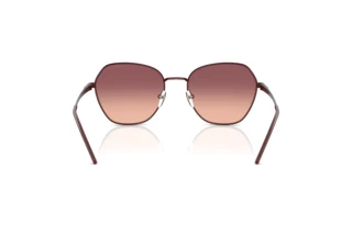 Vista posterior Emporio Armani EA2161 (34018D)