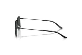 Vista lateral Emporio Armani EA2165D (300187)