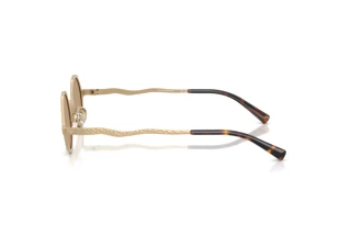 [glasses-side-view] Emporio Armani EA2166 (30027J)