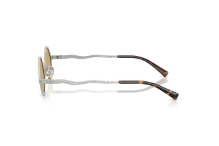 [glasses-side-view] Emporio Armani EA2166 (3015/2)