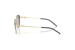 Vedere laterală Emporio Armani EA2170 (30138G)