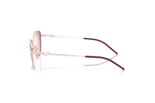 Vedere laterală Emporio Armani EA2170 (34268H)