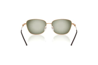 Vedere din spate Emporio Armani EA2170 (342713)