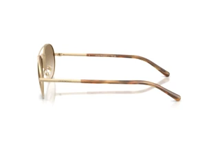 Vedere laterală Emporio Armani EA2171 (300213)