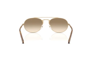 Vedere din spate Emporio Armani EA2171 (300213)