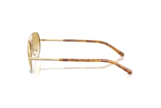 [glasses-side-view] Emporio Armani EA2171 (30022Q)