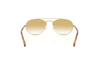 [glasses-back-view] Emporio Armani EA2171 (30022Q)