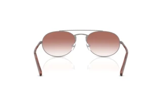 [glasses-back-view] Emporio Armani EA2171 (30038D)