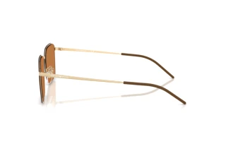 Vedere laterală Emporio Armani EA2172D (301373)