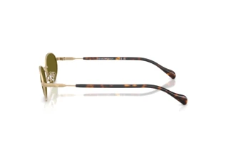 Sivukuva Emporio Armani EA2175 (3002/2)