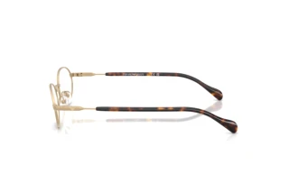 Sivukuva Emporio Armani EA2175 (30021W)