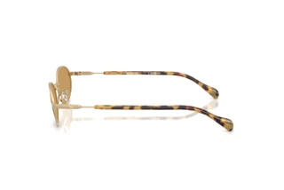 Sivukuva Emporio Armani EA2175 (300273)