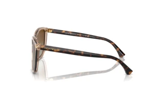 Vista lateral Emporio Armani EA4060 (5850T5)