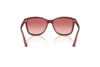 [glasses-back-view] Emporio Armani EA4060 (6377A5)