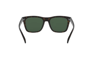 [glasses-back-view] Emporio Armani EA4142 (508971)