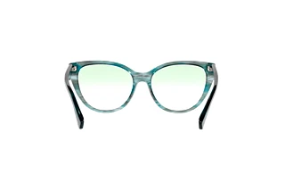[glasses-back-view] Emporio Armani EA4162 (58868E)