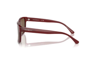 Vista lateral Emporio Armani EA4163 (507573)