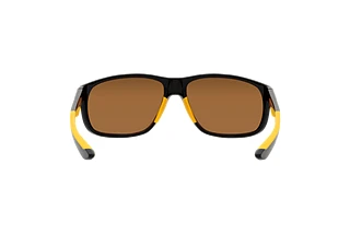 [glasses-back-view] Emporio Armani EA4199U (50176H)