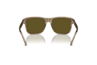 Vista posterior Emporio Armani EA4208 (605573)