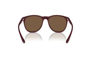 Takaa Emporio Armani EA4210 (526173)