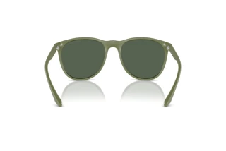 [glasses-back-view] Emporio Armani EA4210 (542471)