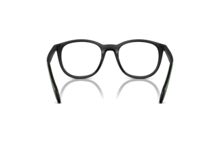 Πίσω όψη Emporio Armani EA4211 (50011W)