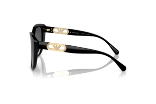 Vista lateral Emporio Armani EA4214U (50178G)