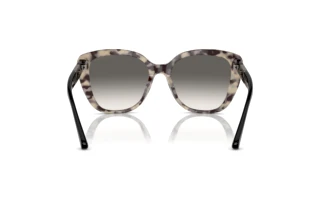 Πίσω όψη Emporio Armani EA4214U (605811)