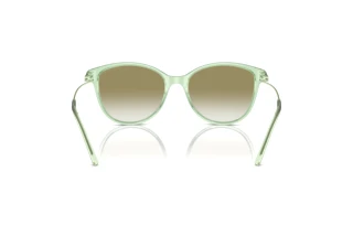 Vy bakifrån Emporio Armani EA4220 (61078E)