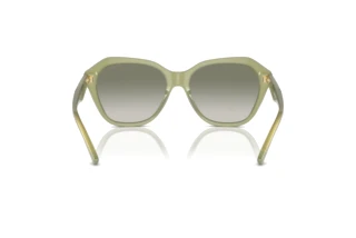 Изглед отзад Emporio Armani EA4221 (61168E)