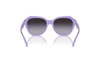 [glasses-back-view] Emporio Armani EA4221 (61178G)