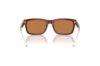 Vista posterior Emporio Armani EA4224 (609573)