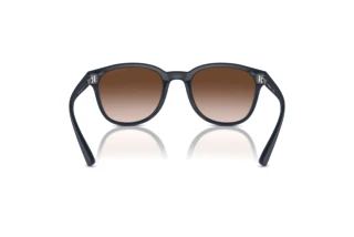 Vista posterior Emporio Armani EA4225U (508813)