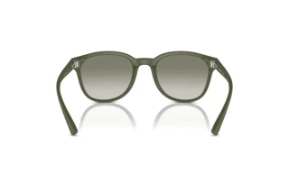 Vy bakifrån Emporio Armani EA4225U (60998E)