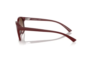 Vista lateral Emporio Armani EA4225U (610113)